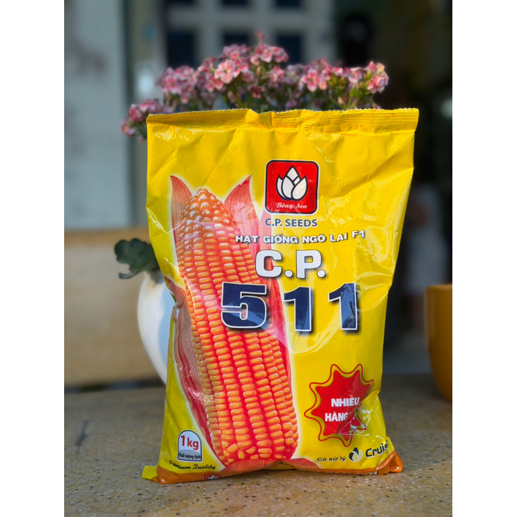 [1kg] Hạt Giống Ngô ( Bắp ) Lai F1 - CP511
