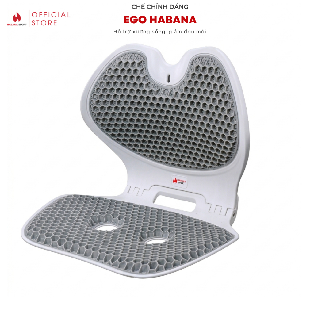Ghế Chỉnh Dáng Công Thái Học Gấp Gọn EGO HABANA  [HABANA SPORT CHÍNH HÃNG], Hỗ Trợ Tư Thế Ngồi Đúng.