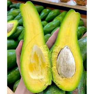2Kg Bơ Núi Nưa Béo Ngọt Dẻo Lâm Đồng
