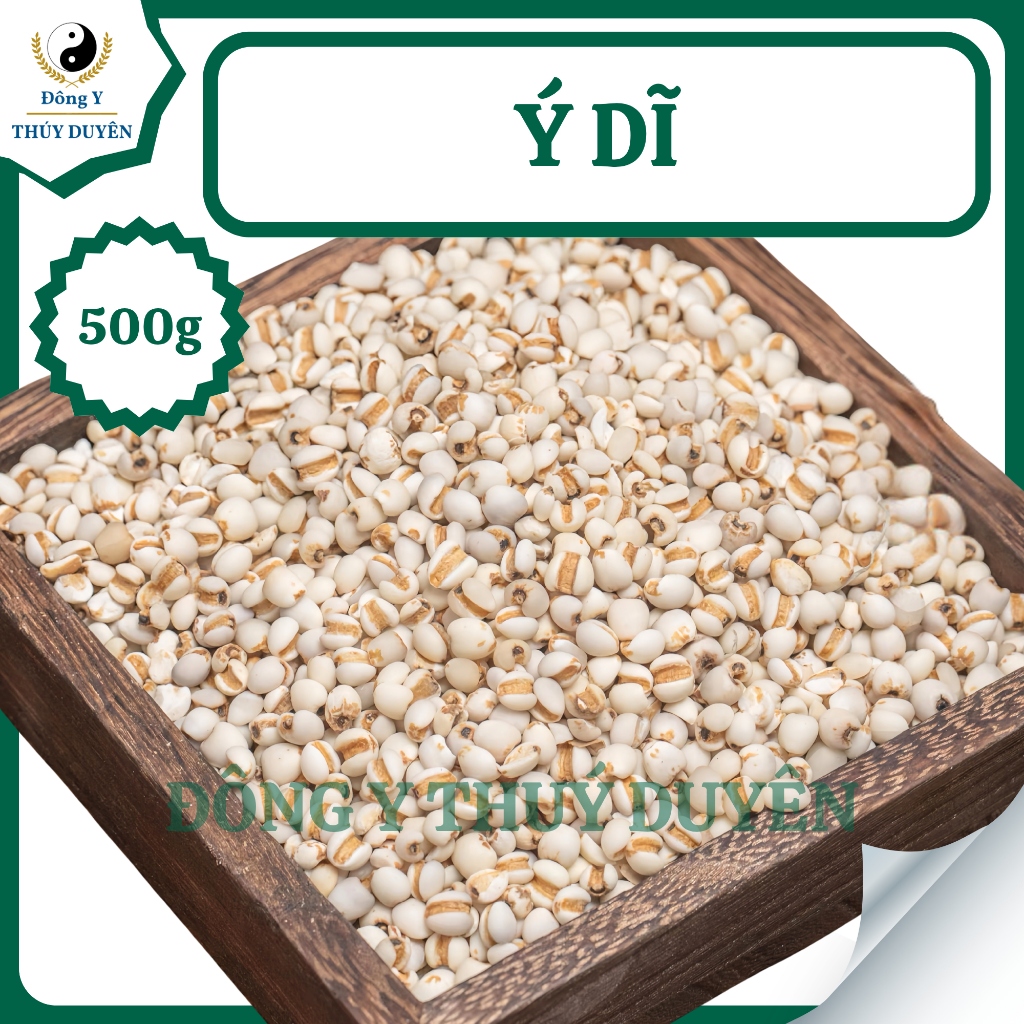 Hạt Ý Dĩ 500g | Loại 1 - Ý Dĩ Nếp, Hạt Bobo, Nấu Cháo, Nấu Chè, Hầm Gà, Pha Trà, Lợi Sữa Sau Sinh