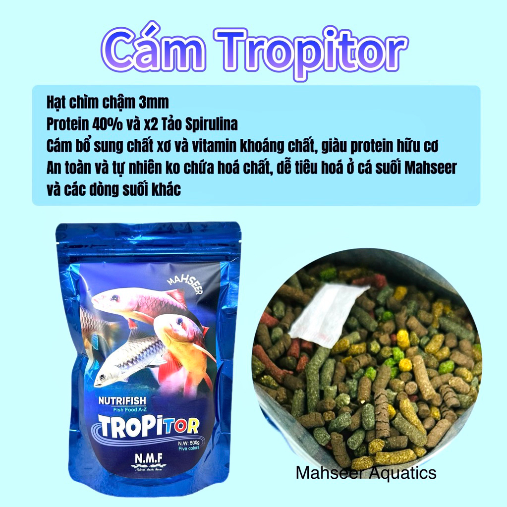 Cám TROPITOR 500gr Cho cá suối BlueMahseer, Phi Tần, Pleco