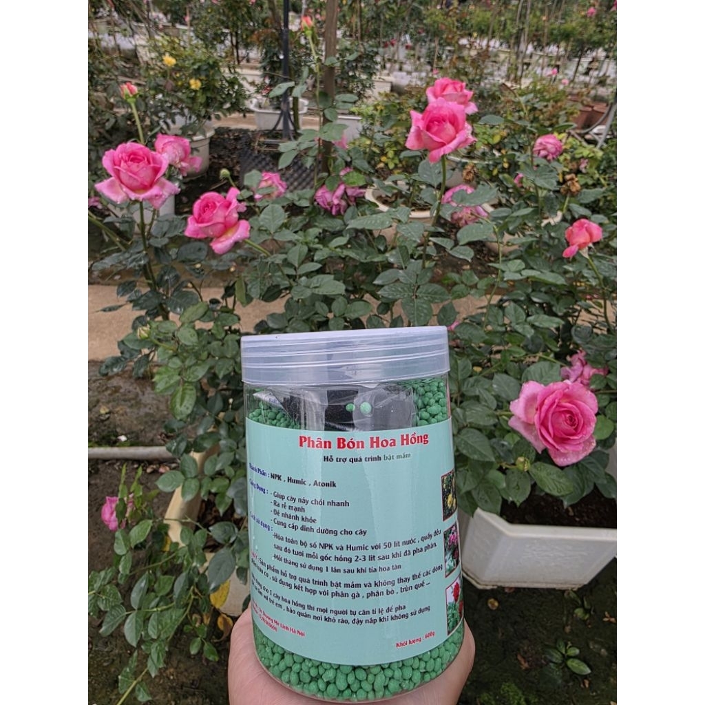 phân kích thích bật mầm Npk, humic, Antonik