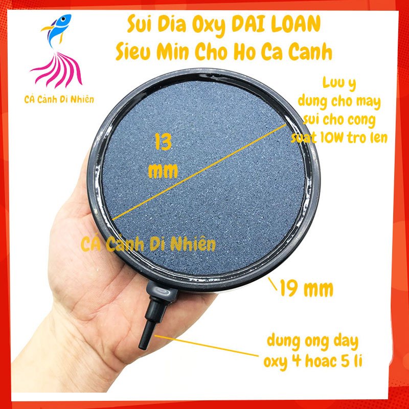 Sủi đĩa OXY ĐÀI LOAN đường kính 13 cm cho hồ cá cảnh (dùng cho máy sủi 10W)
