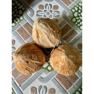 Dừa khô nguyên trái (đã lột vỏ) loại trái từ 1,2 - 1,4 kg (mua nhiều giá giảm sâu)