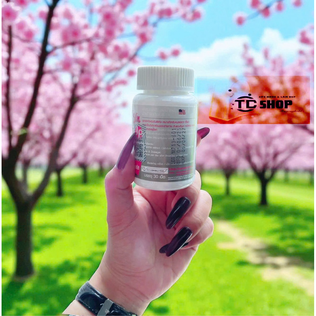 Khăn Tắm, Khăn Gội Đầu, Khăn Lau Mặt LOTUS TOWEL 100% Cotton Cao Cấp Mềm Mịn, Thấm Hút, Không Ra Màu