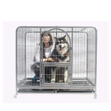 Xả Chuồng Nan Ống size to cho CHÓ LỚN ( BECGIE, HUSKY, ALASKA)