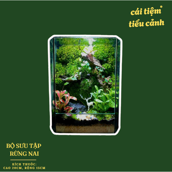 Bể Terrarium  Rừng Nai (kèm đèn gỗ và túi quà)