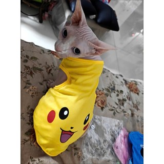 Áo Pikachu cho chó mèo siêu dễ thương
