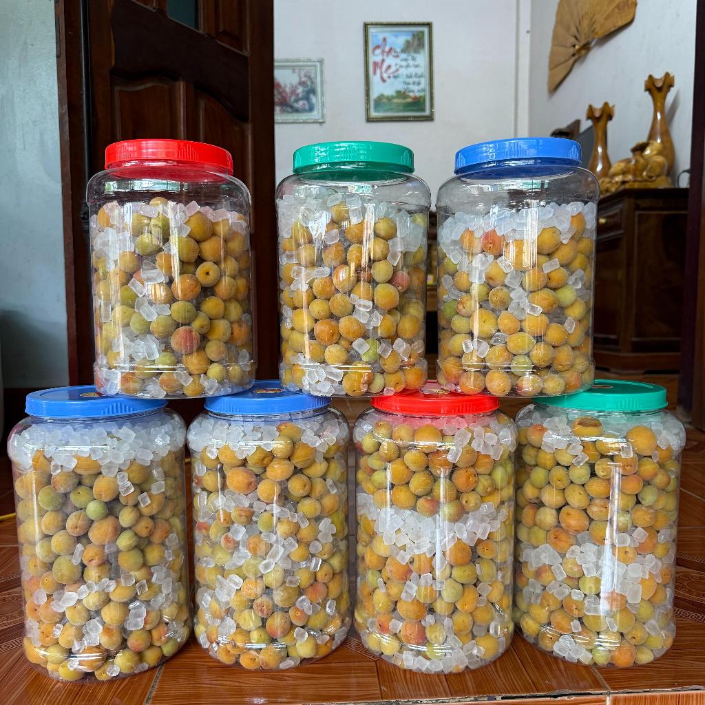 Mơ Rừng Tây Bắc Ủ Sẵn Đường Phèn Để Ngâm - Siro Mơ Rừng - Nông Sản Phù Hoa - Mơ Thóc - Mơ Ta - Mơ Ch