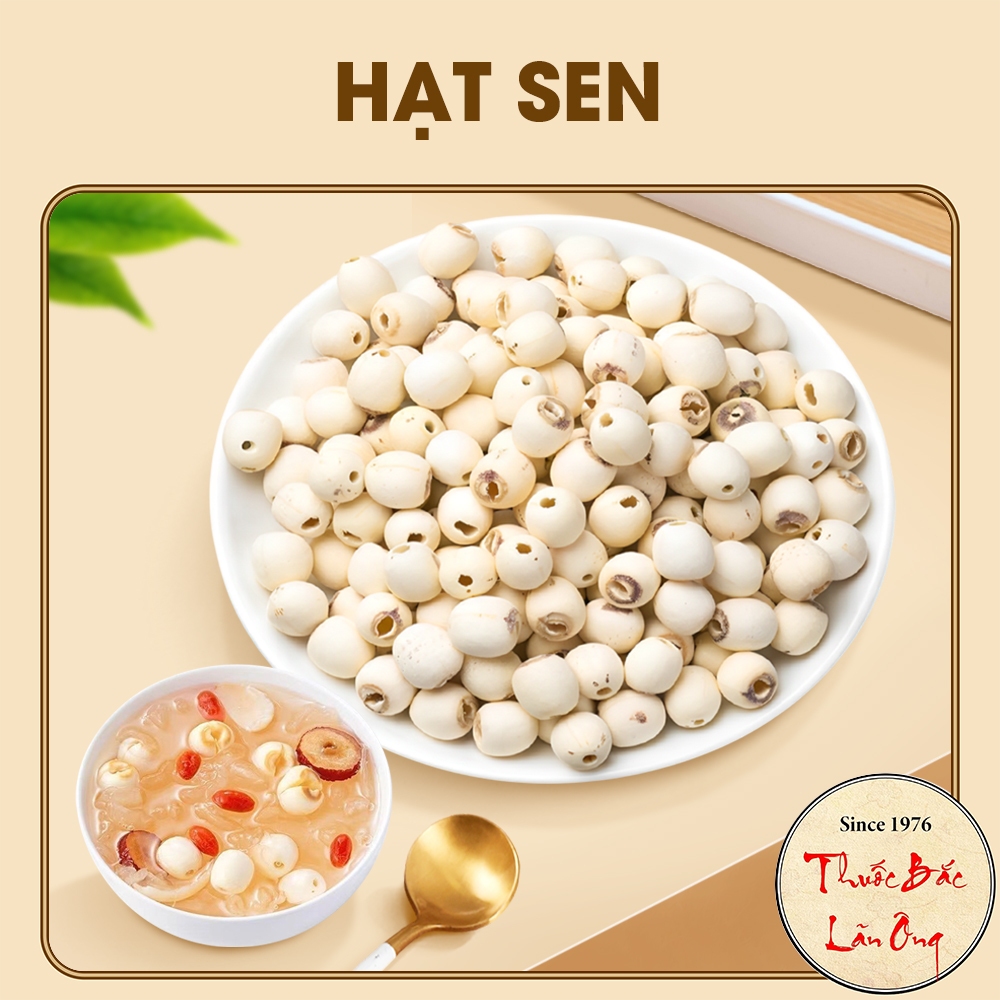 Hạt sen 1kg, hạt sen Huế, bở, thơm, mềm dùng hầm canh, nấu chè, soup thơm ngon bổ dưỡng