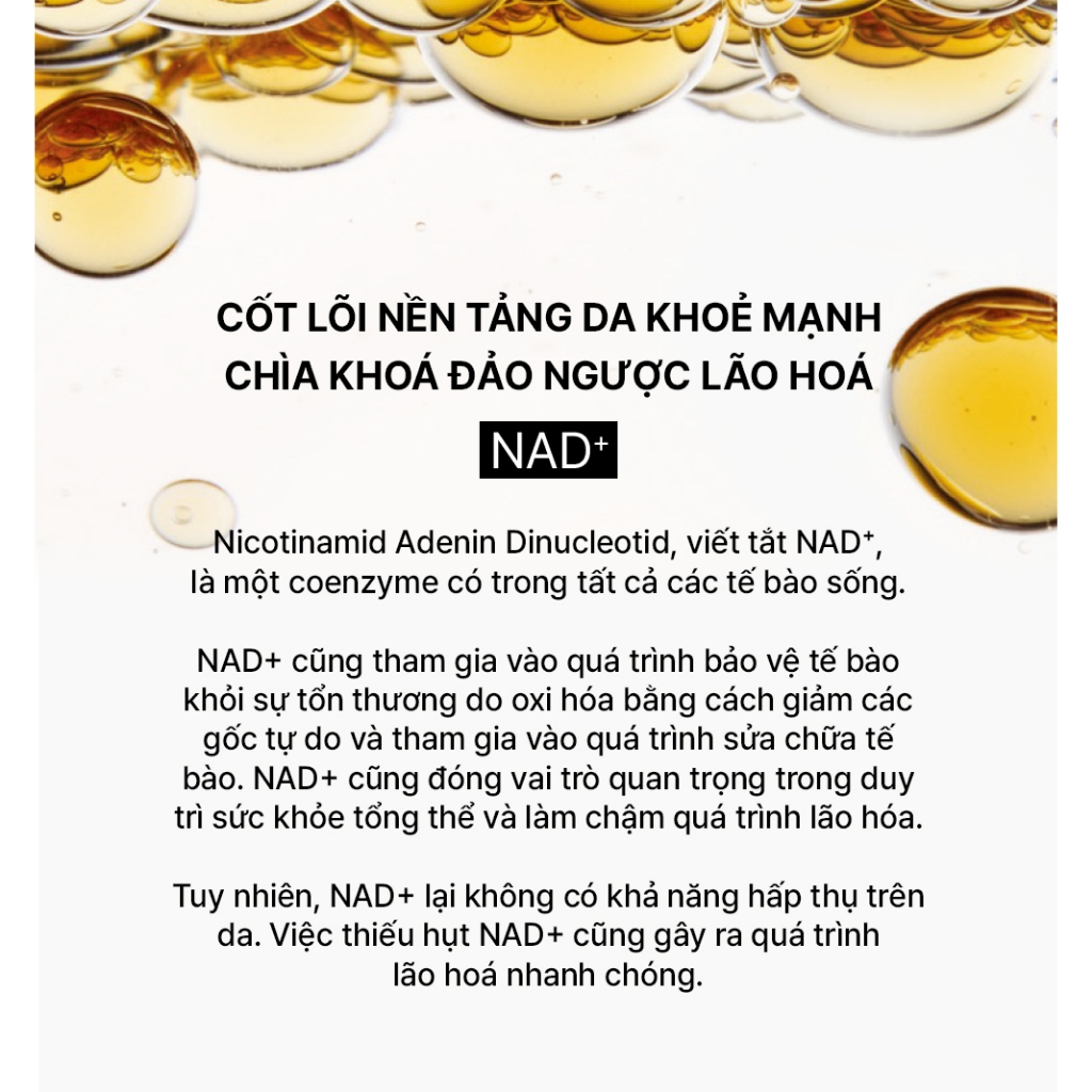 [THE WHOO OFFICIAL] [ĐỘC QUYỀN SHOPEE PREMIUM] Bộ tinh chất tự sinh chống lão hóa Bichup Ultimate Recovery Youth Serum | BigBuy360 - bigbuy360.vn