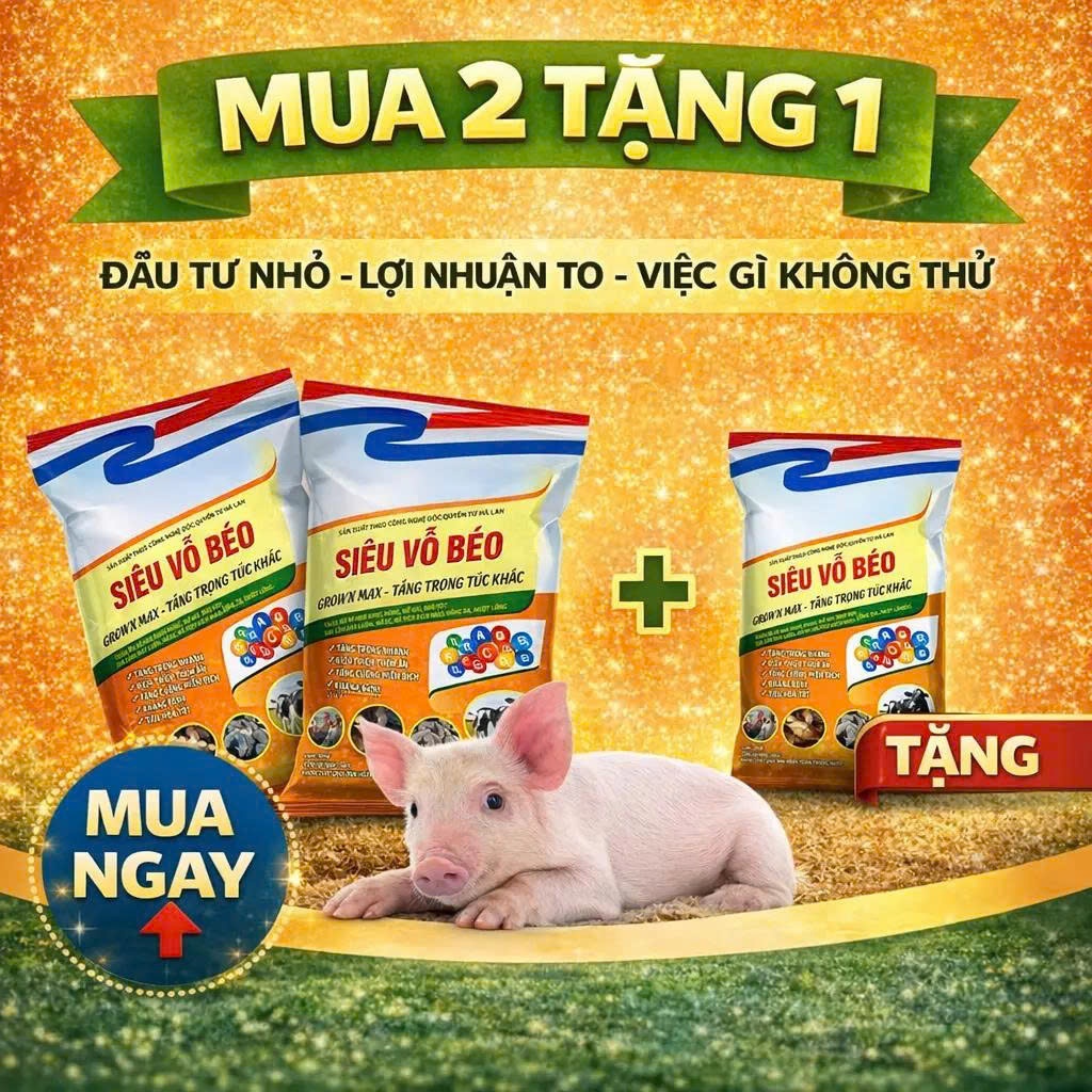 Siêu Vỗ Béo Grown Max 1KG – Kích Thích Ăn, Tăng Cân Nhanh Cho Gia Súc Gia Cầm (Combo 2 Tặng 1)