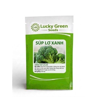 HẠT GIỐNG SÚP LƠ CAO CẤP LUCKY GREEN SEED