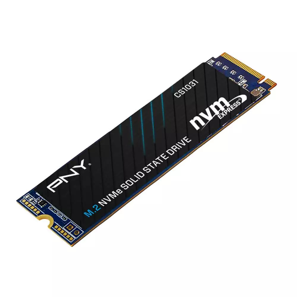 Ổ Cứng gắn trong SSD PNY CS1031 M.2 PCIe Gen3 x4 NVMe 256GB - Chính Hãng | BigBuy360 - bigbuy360.vn