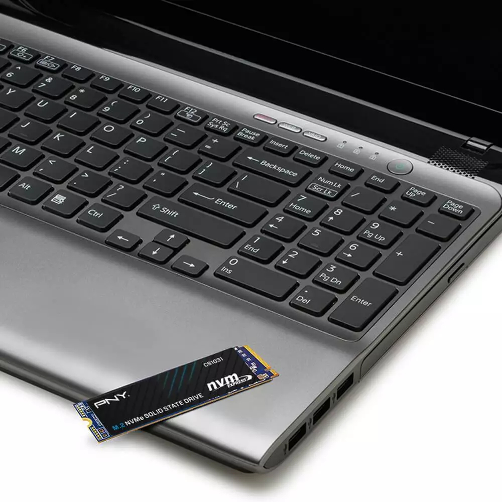Ổ Cứng gắn trong SSD PNY CS1031 M.2 PCIe Gen3 x4 NVMe 256GB - Chính Hãng | BigBuy360 - bigbuy360.vn