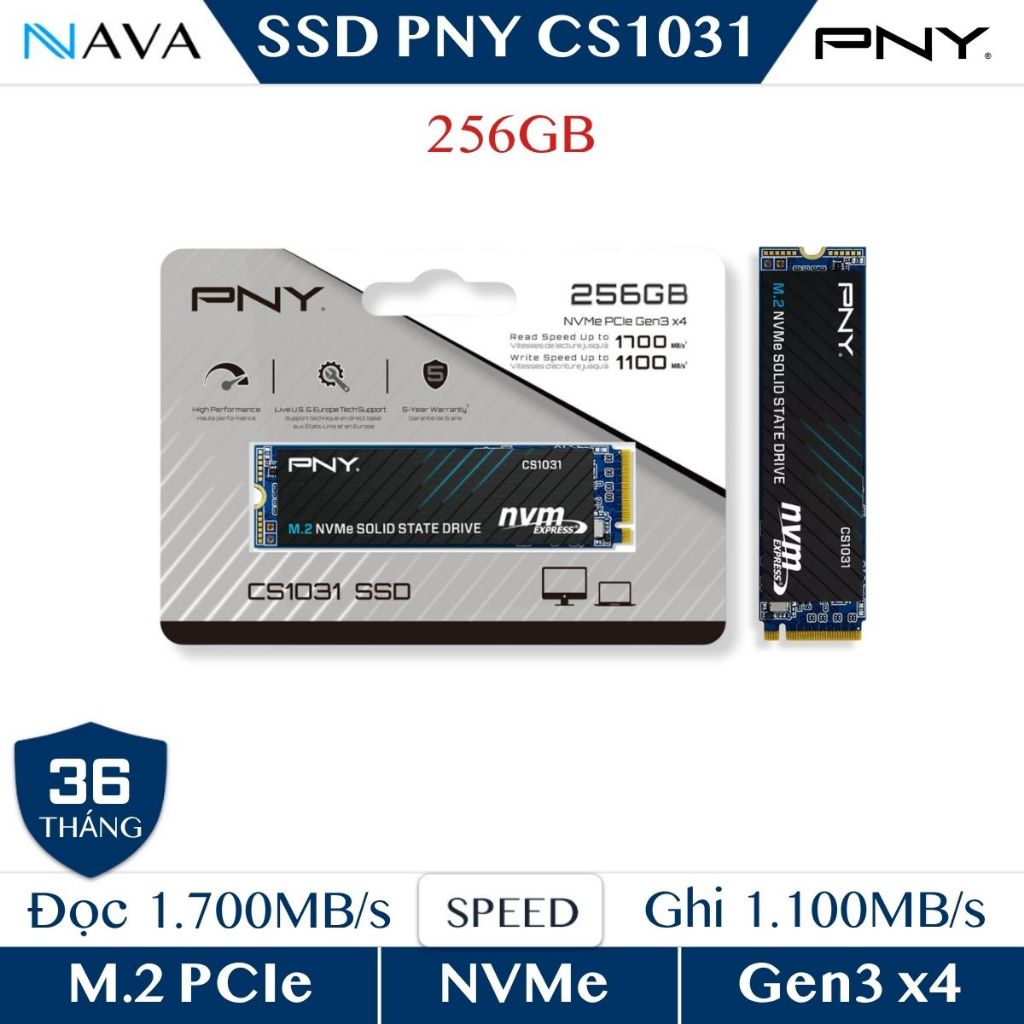 Ổ Cứng gắn trong SSD PNY CS1031 M.2 PCIe Gen3 x4 NVMe 256GB - Chính Hãng | BigBuy360 - bigbuy360.vn