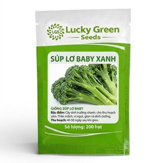 HẠT GIỐNG SÚP LƠ CAO CẤP LUCKY GREEN SEED
