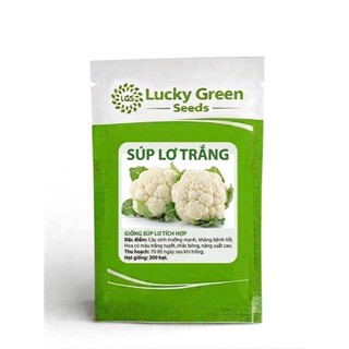 HẠT GIỐNG SÚP LƠ CAO CẤP LUCKY GREEN SEED