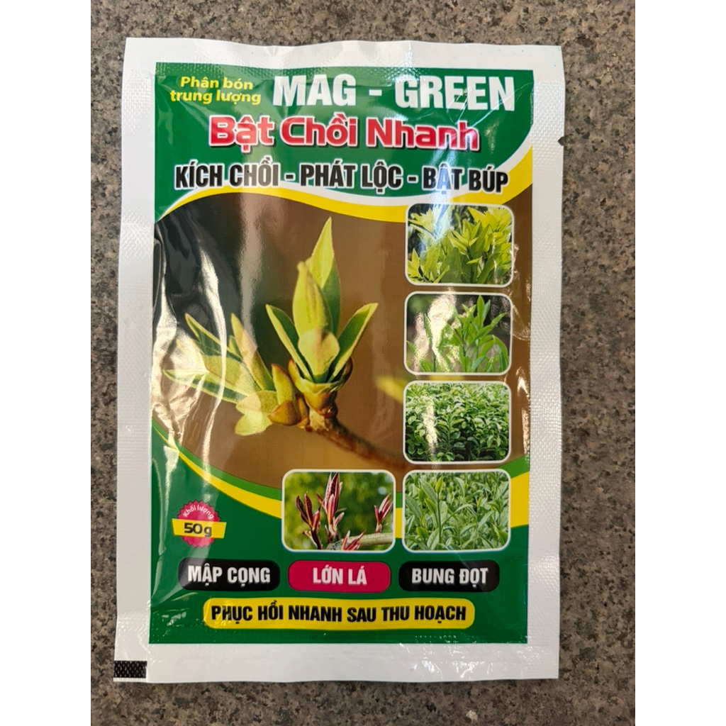 Bật chồi nhanh, mập cọng, lớn lá, bung đọt, vua bật chồi  loại tốt###