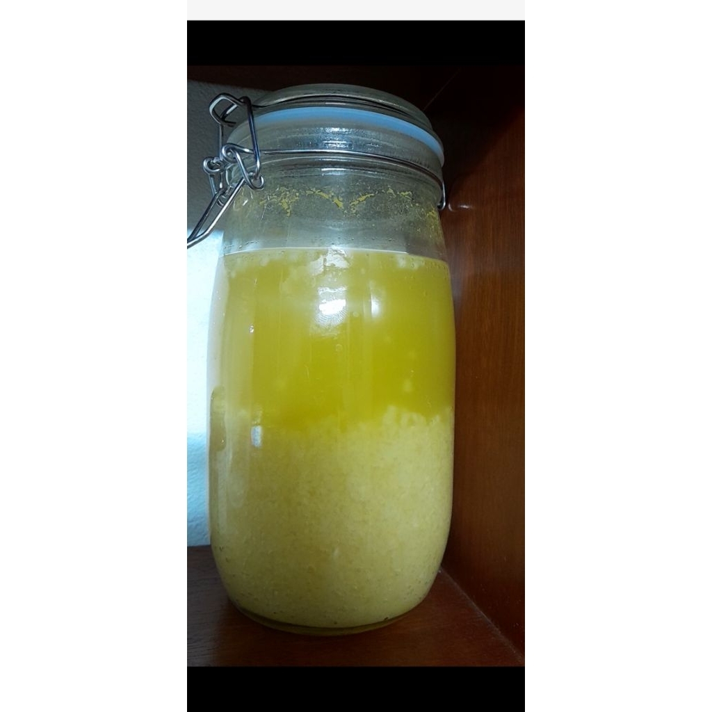 Nấm kefir ( nấm nước dừa, nước mía)