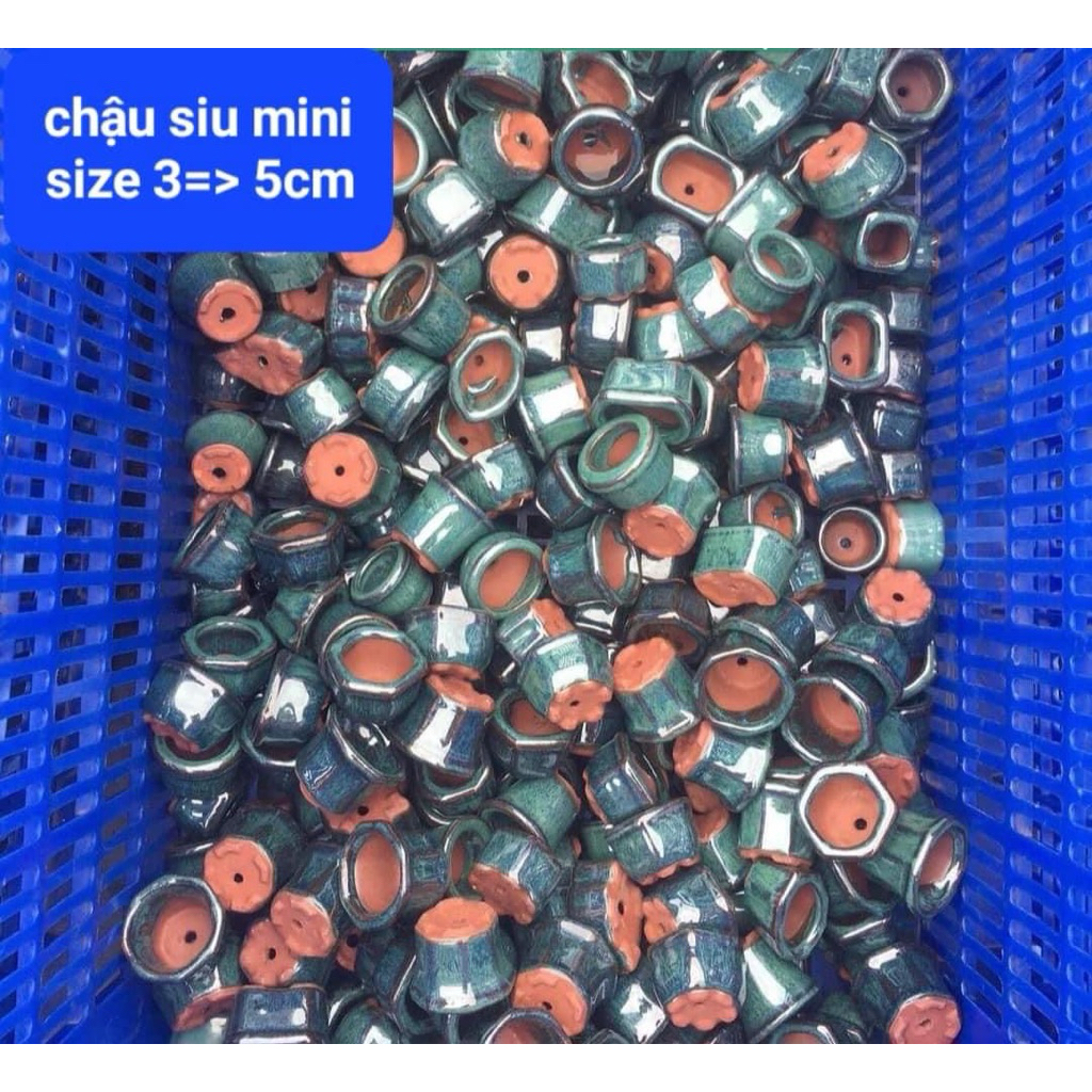 Chậu bonsai Bộ 20 chậu siêu mini men xanh hoả biến