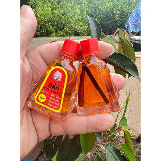 combo 5 chai dầu xoang 7ml tem đỏ (có rể thảo dược)