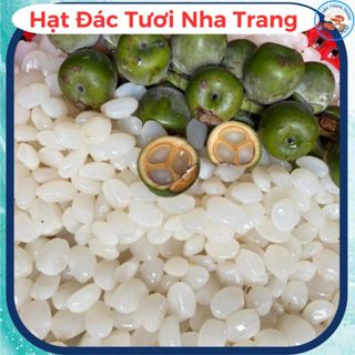 Hạt Đác Nha Trang Lựa Dẻo Ngon Không Cứng, hạt đác tươi đặc sản nổi tiếng 79Nha Trang, đác tươi 500gr/1kg