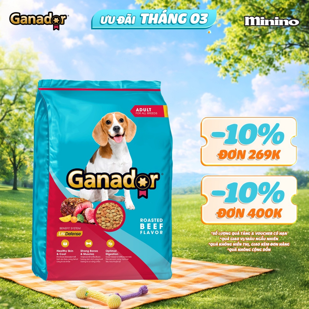 Thức ăn hạt Ganador cho chó vị Bò/Gà nướng 3kg
