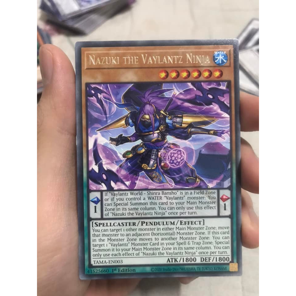 nazuki the vaylantz ninja