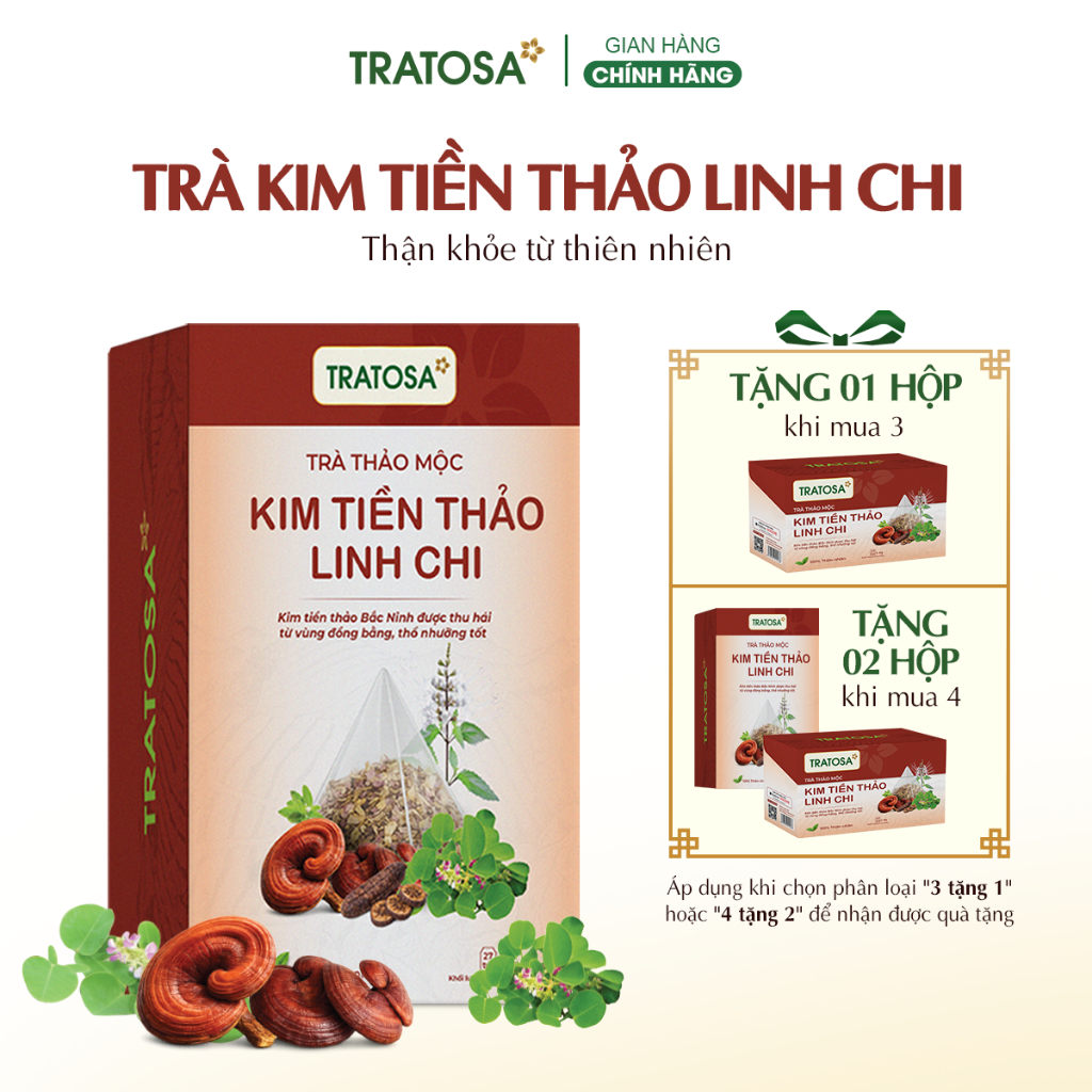 Trà kim tiền thảo linh chi TRATOSA 8 vị tốt cho thận an toàn từ thiên nhiên