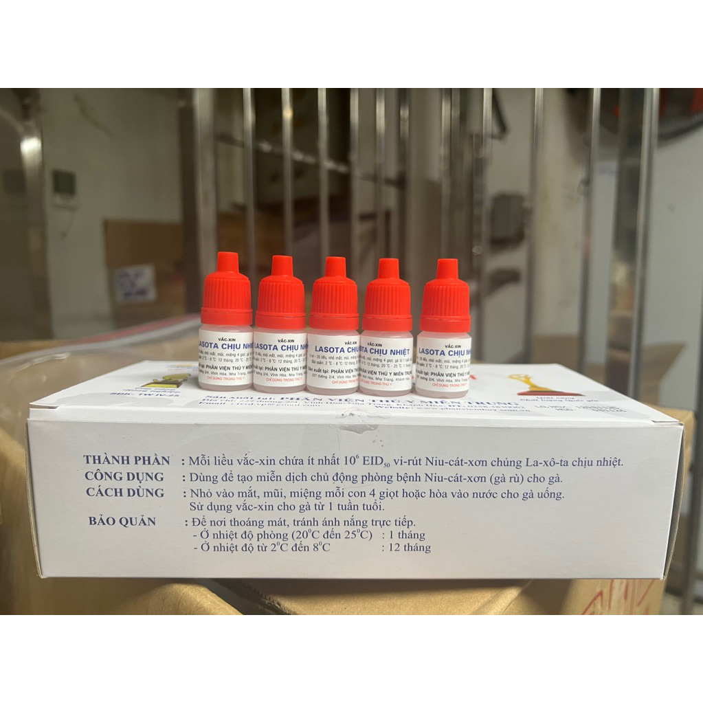 Vacxin lasota chịu nhiệt liều 25 con dùng cho gà từ 3 ngày tuổi