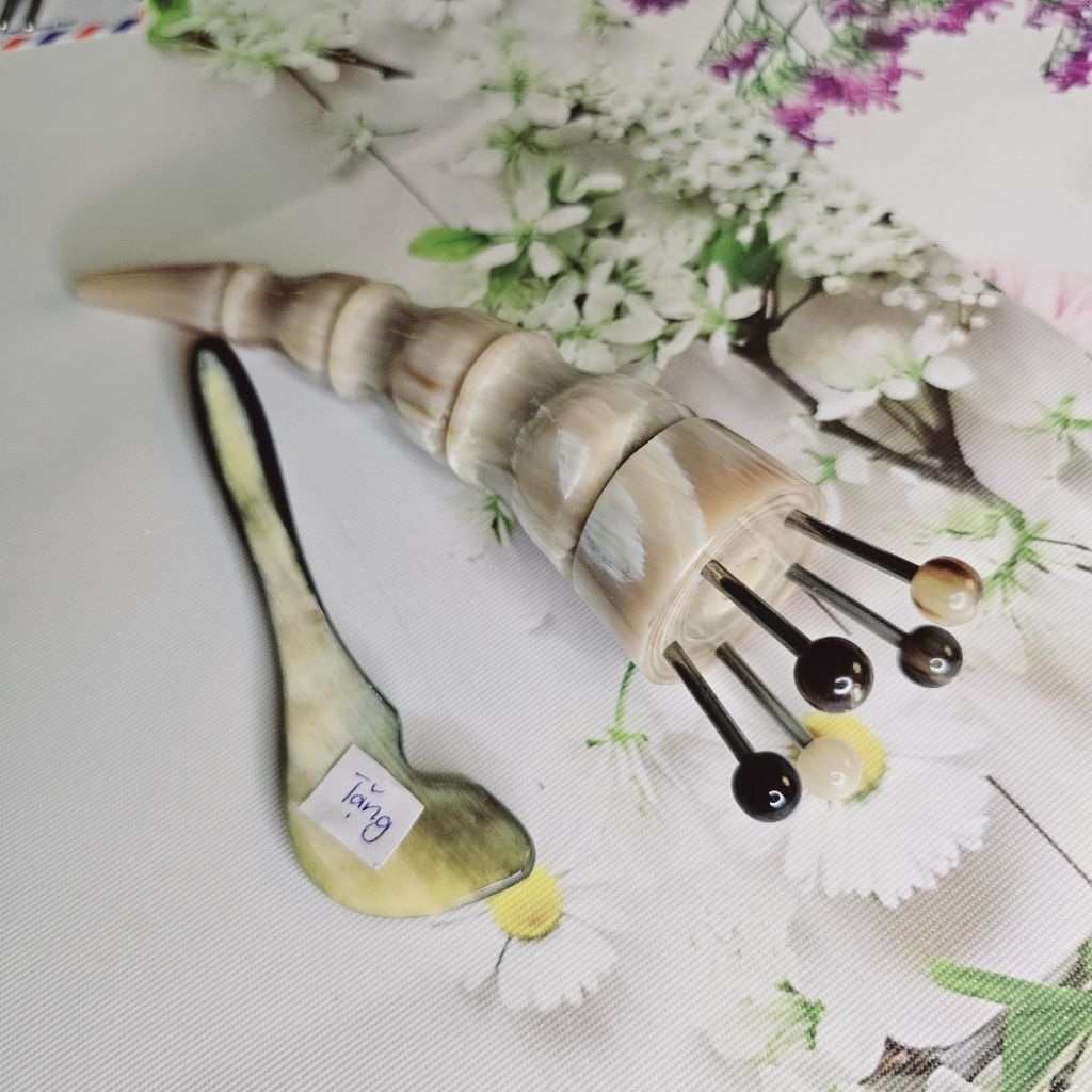 Bọ cạp hoa khế sừng đen 1