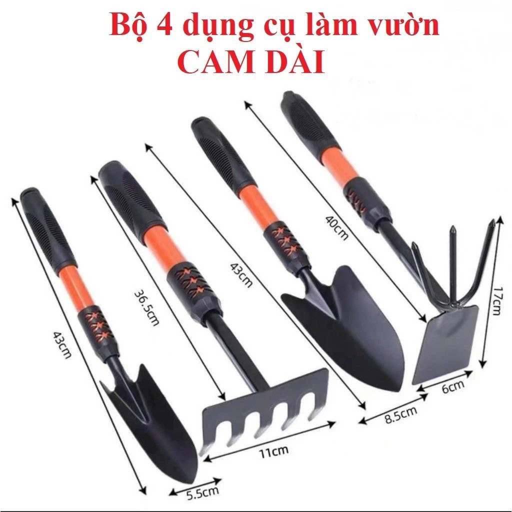 Cào cát bãi biển (cào ngao, cào ốc)