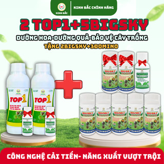 (2 Top1+5Bigsky)-(Tặng 2Bigsky, 3Đomino)-Kinh Bắc-Phòng và ngừa thán thư, đốm quả, thối rễ sương mai