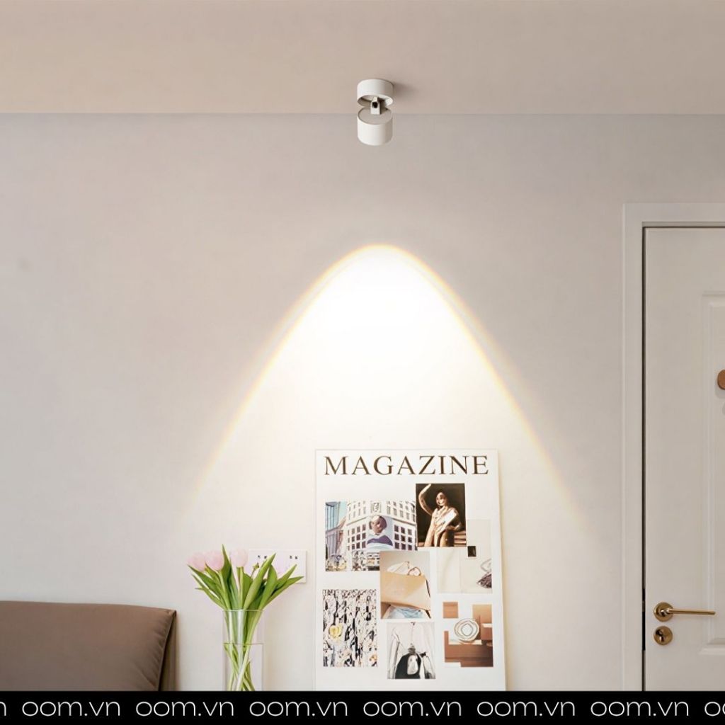 ĐÈN SPOTLIGHT TRANH