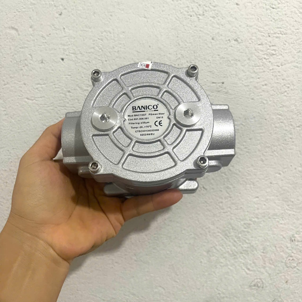 Bộ lọc khí gas tự nhiên Banico ren 21