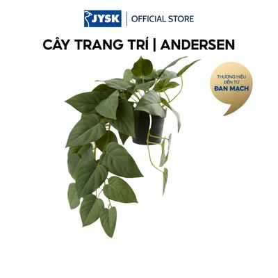 Cây trang trí | JYSK ANDERSEN | nhựa PE/xi măng | xanh lá | R33xD43xC20cm