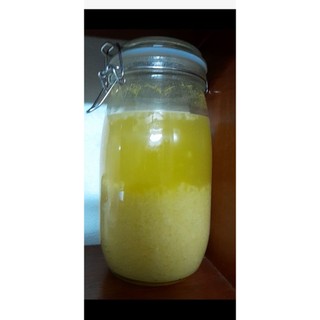 Hạt nấm Kefir ( nấm nước mía, nấm nước dừa, thốt nốt)