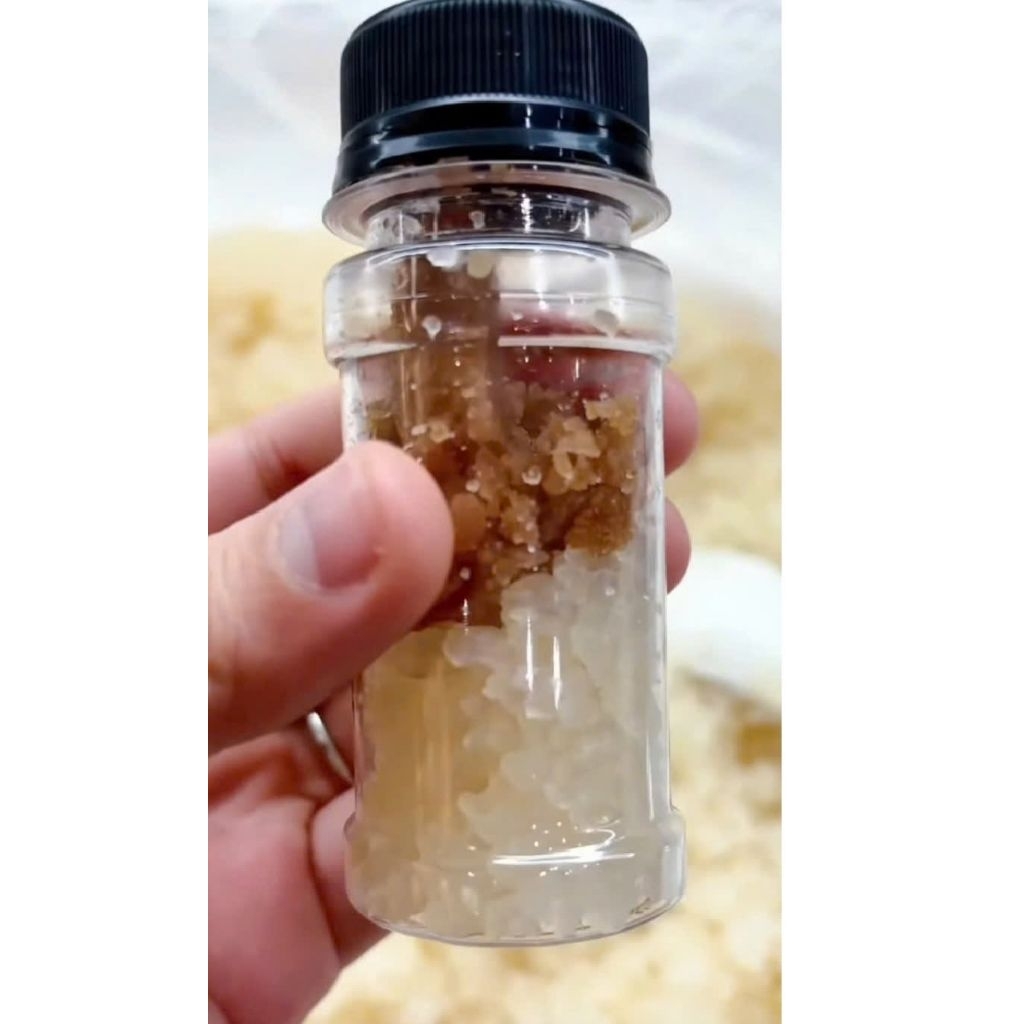 kefir water ( nấm kefir nước dừa , nước mía)