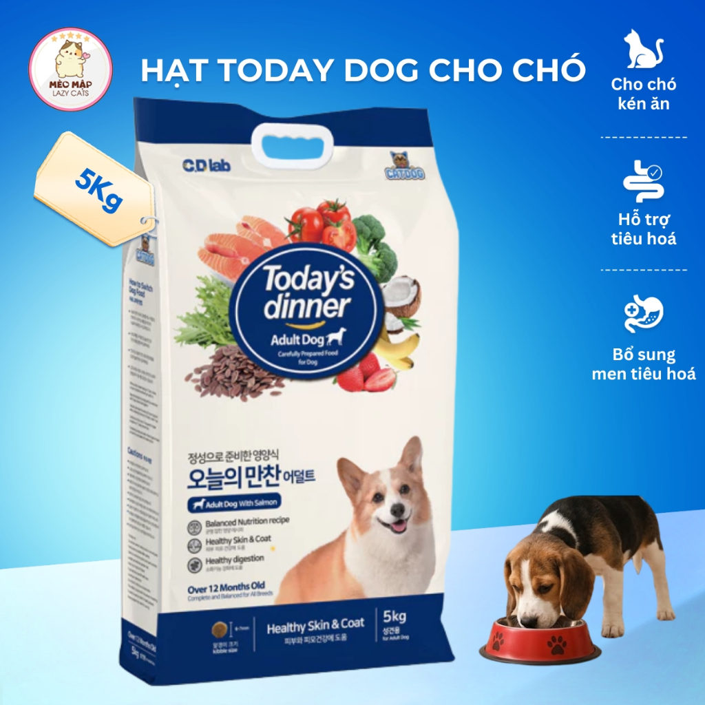 [5Kg] Today Dog 5Kg Thức Ăn Hạt Cho Chó, Dinh Dưỡng Cân Bằng, Giúp Khỏe Mạnh Và Phát Triển Toàn Diện