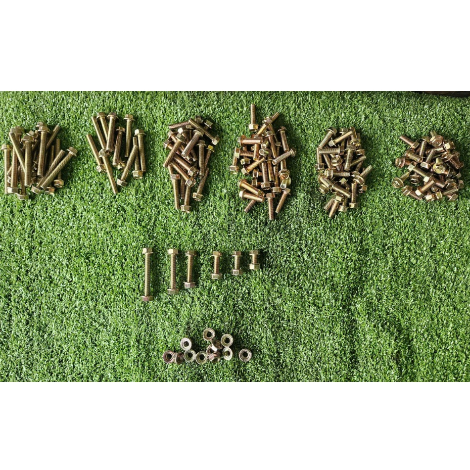 Set 10 bulong M8 ( 8li ) xi vàng đầu liền lông đền khóa 12