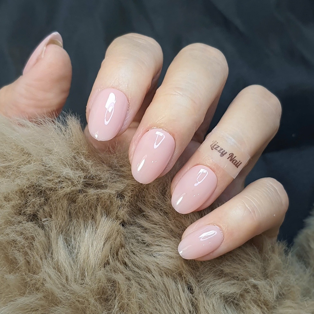 Lizzy Nail - Móng úp Nailbox sơn trơn