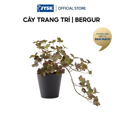 Cây trang trí | JYSK BERGUR | xi măng/polyester | đen/nâu | C21cm