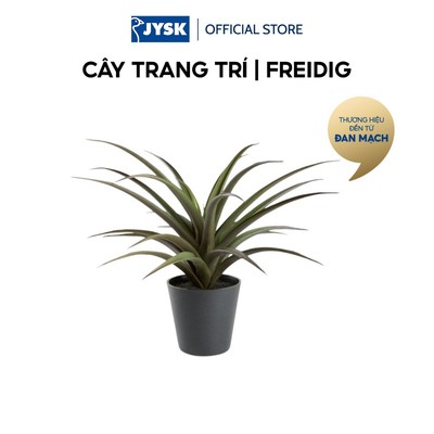 Cây trang trí | JYSK FREIDIG | đất sét/PE | đỏ thẫm/xanh đậm | Ø36xC32cm