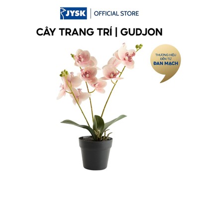 Cây trang trí | JYSK GUDJON | nhựa PE/thép | hồng | Ø9xC35cm