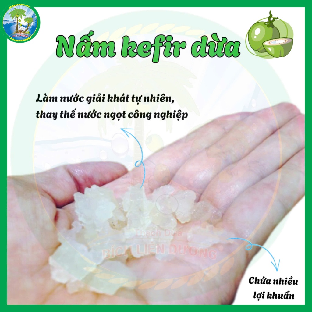Nấm kefir dừa - Men sống tự nhiên, nuôi từ nước dừa tươi