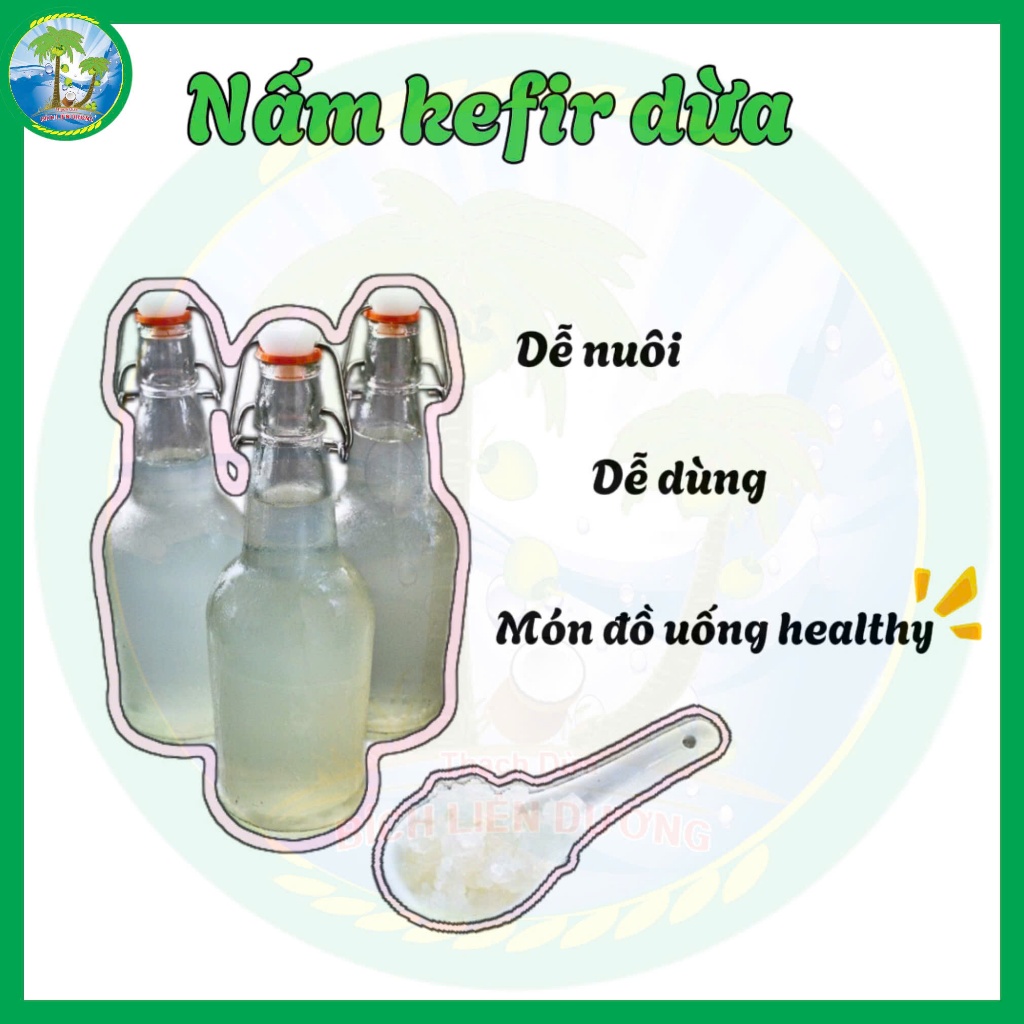 [50g] Nấm Kefir Dừa, Dùng Làm Bia Dừa, Nước Dừa Lên Men