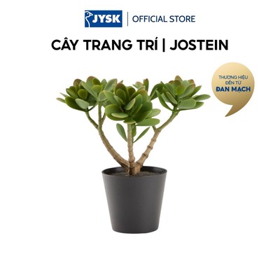 Cây trang trí | JYSK JOSTEIN | nhựa PE/thép | xanh lá | R20xD20xC23cm