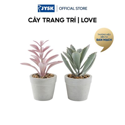 Cây trang trí | JYSK LOVE | xi măng/nhựa PE | nhiều màu | Ø7xC15cm