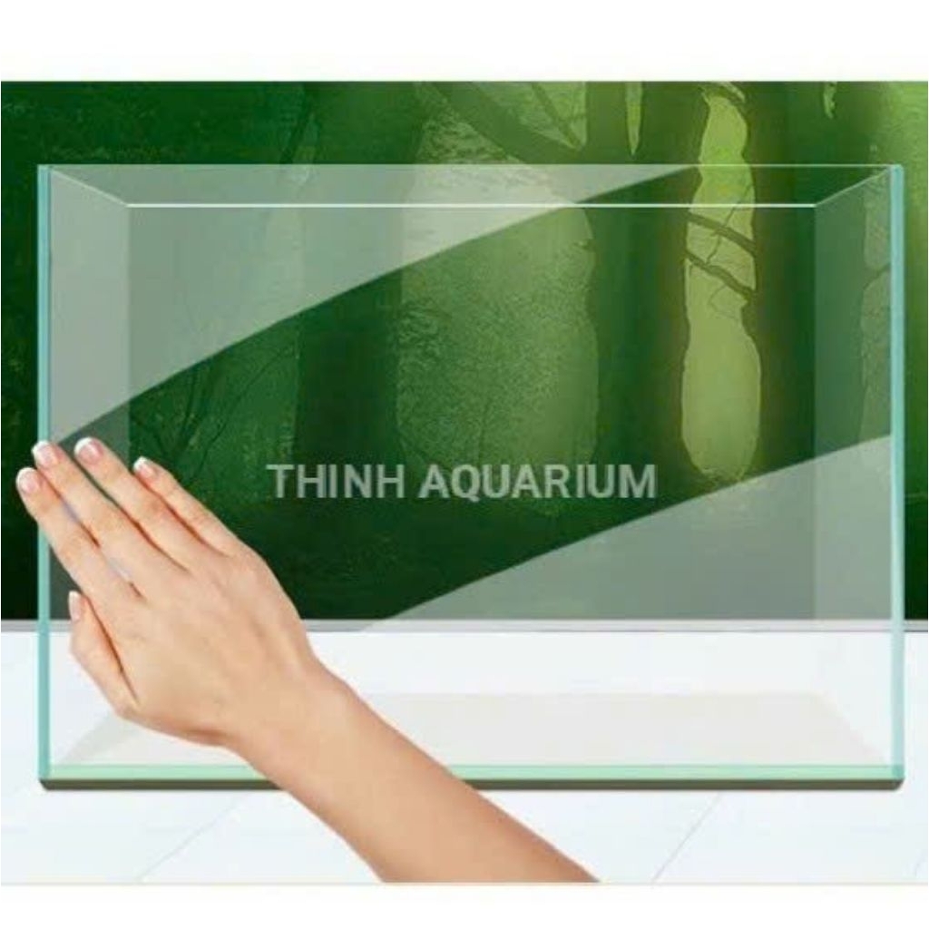 hồ cá cảnh đẹp 40x25x25 để bàn (Mài vi tính)